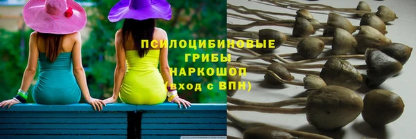 ECSTASY Осинники