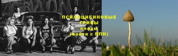 mdpv Осташков