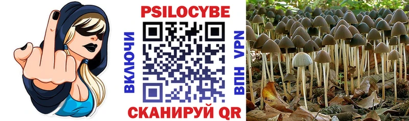 Галлюциногенные грибы мицелий  кракен маркетплейс  Энем 